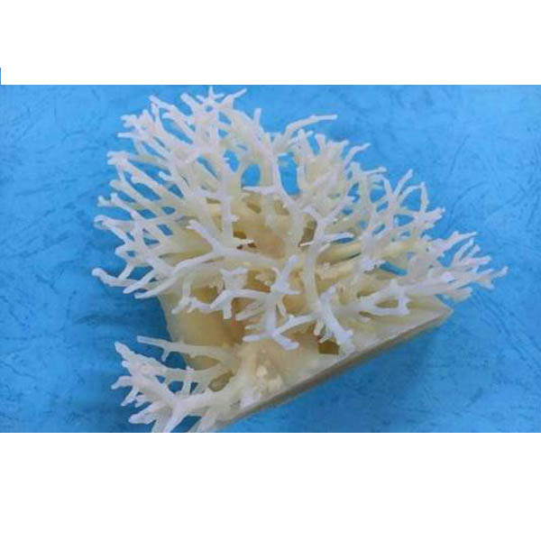 辽宁专业3D打印机价格